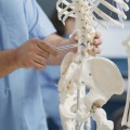 Spinal Fractures: Understanding Treatment and Rehabilitation